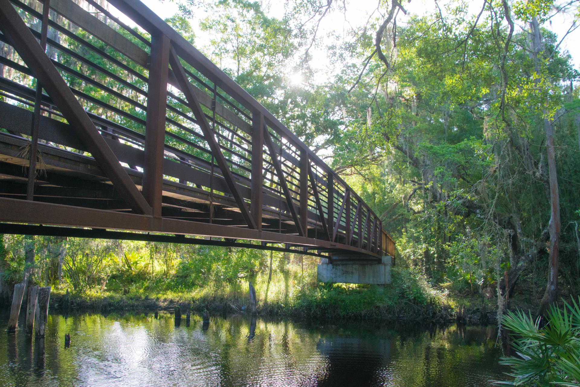 Shingle Creek