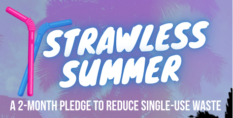 Strawless Summer Header Strawless Summer Header